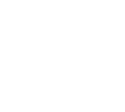 Newstyler logo