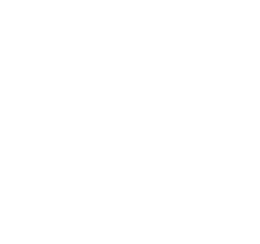 PsykoPhonic logo